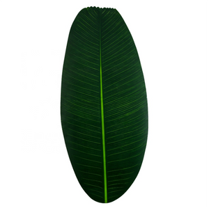 Gaff Banana Leaf Placemat