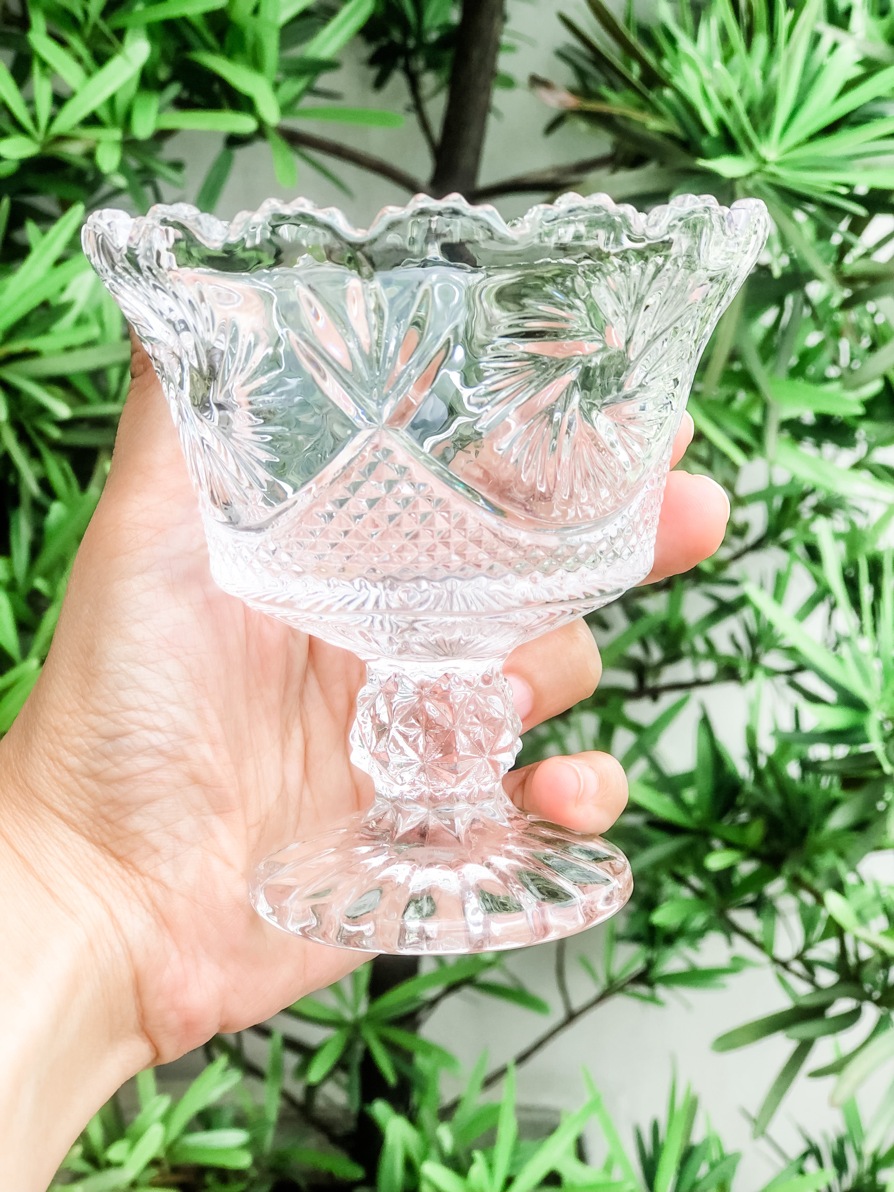 Kelsey Crystal Dessert Glasses