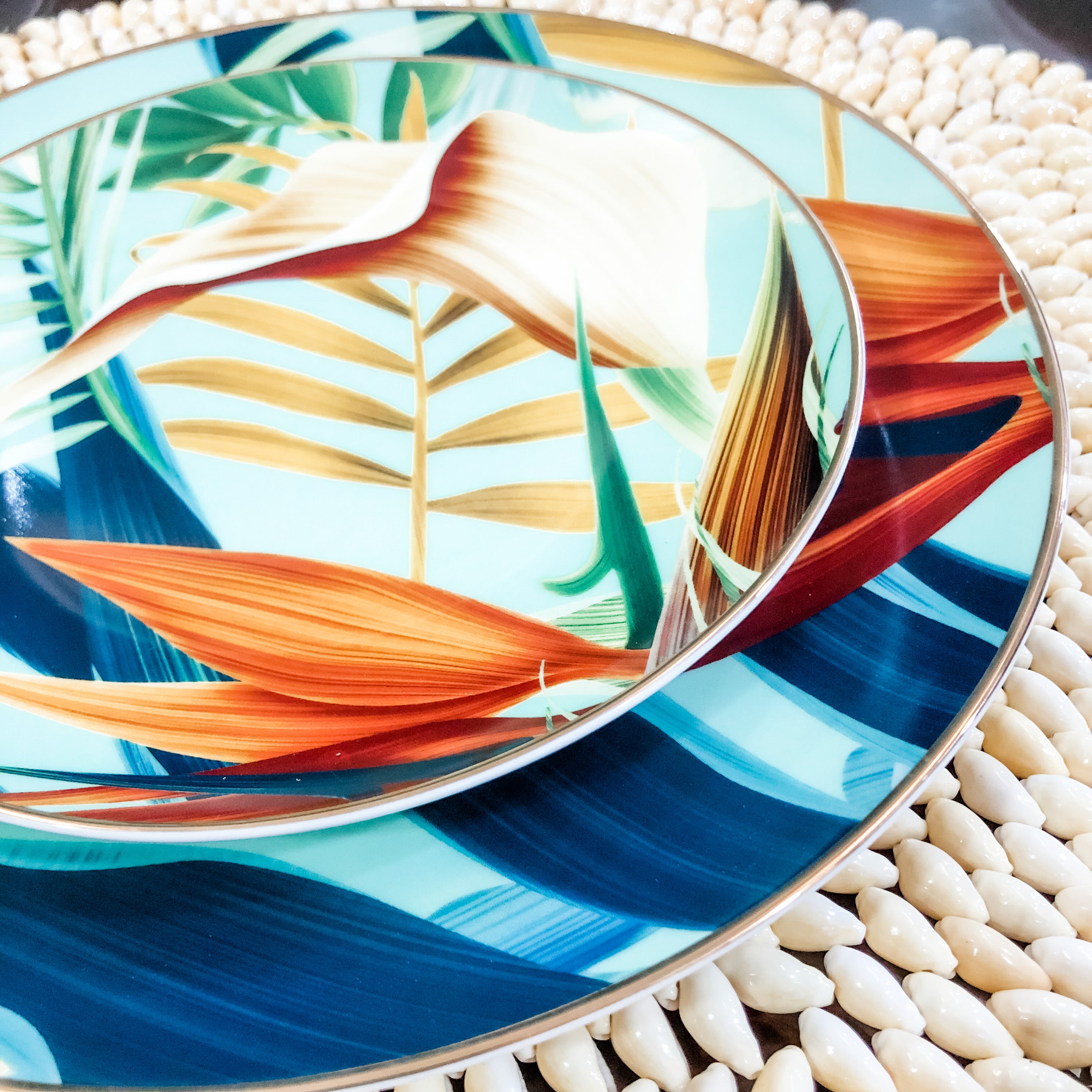 Willow Dinner and Salad Plate Set