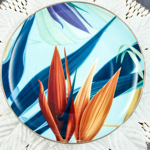 Willow Dinner and Salad Plate Set