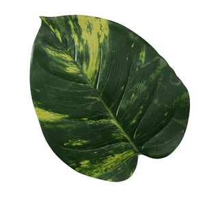 Pothos Leaf Placemat