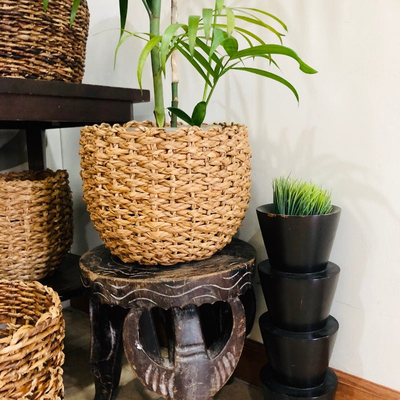 Bebe Abaca Plant Holders